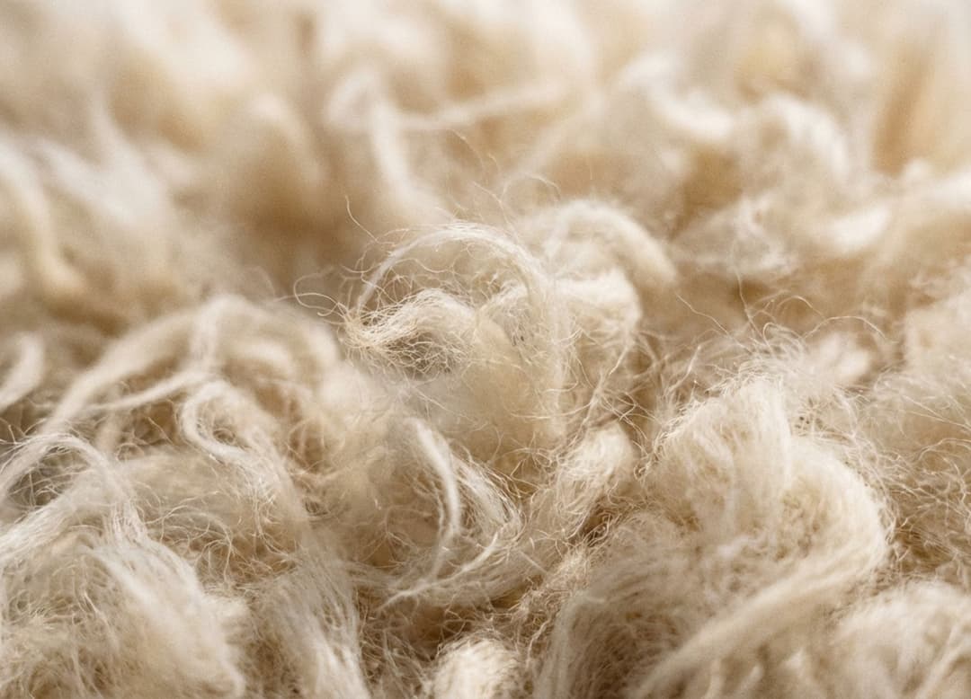 Gros plan argentique sur des fibres de cachemire brutes aux tons blanc-beige, révélant leur douceur et leur texture légère.