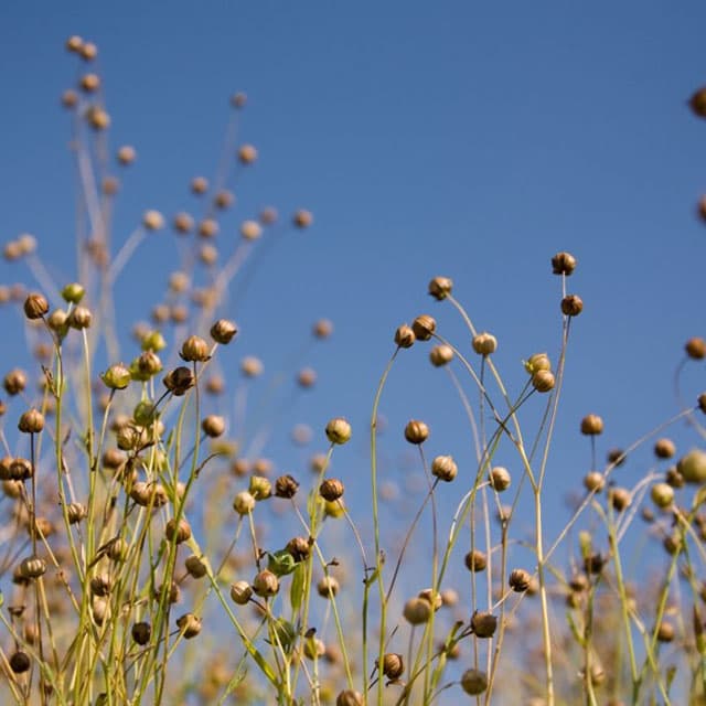 Paesaggio naturale, l’impegno ambientale della maison