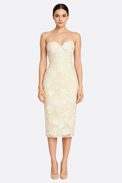 
Robe midi bustier en tulle transparent avec motifs floraux délicats, élégante et raffinée pour occasions spéciales.



